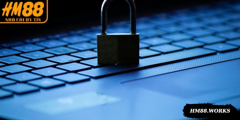 Những điều khoản trong nội dung văn bản