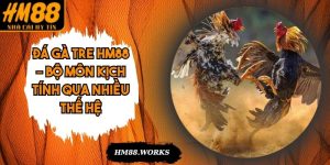 Đá Gà Tre HM88 – Bộ Môn Kịch Tính Qua Nhiều Thế Hệ