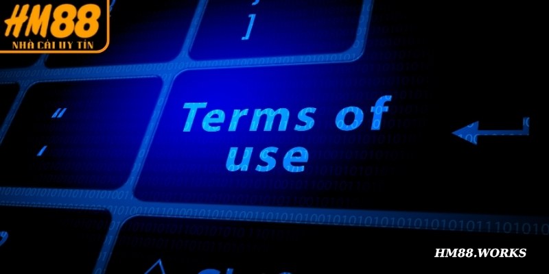 Điểm qua một số hạng mục điều khoản quan trọng