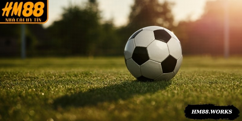 Xem kết quả thể thao liên tục, nhanh chóng và luôn chuẩn xác