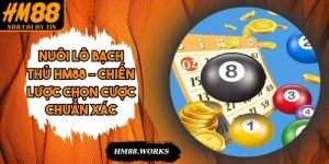 Nuôi Lô Bạch Thủ HM88 – Chiến Lược Chọn Cược Chuẩn Xác